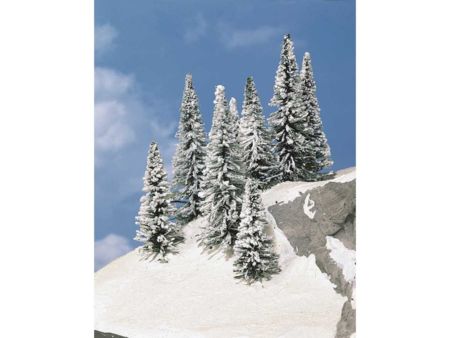 Heki  8 Schneetannen 7-12 cm