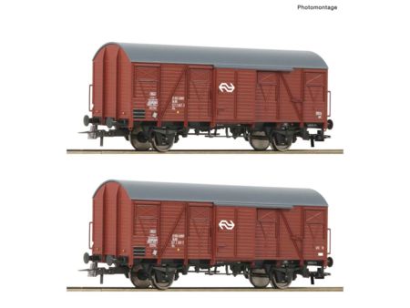 Roco HO 2-tlg. Set: Gedeckte Güterwagen, NS