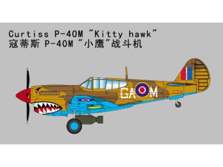 TRUMPETER 1/32 P40M War Hawk