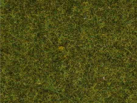 Noch  Wildgras Wiese, 9mm