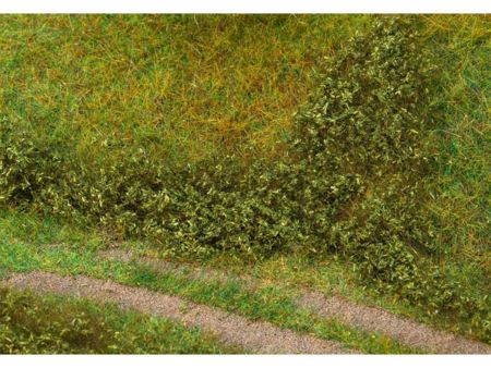 Faller  Blätterfoliage, sommergrün