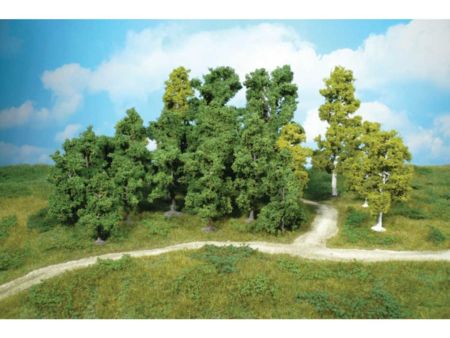 Heki  10 Laubbäume 8-12 cm