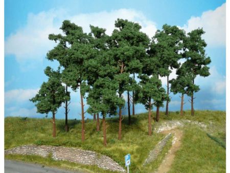 Heki  5 Kiefern 20 cm