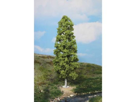 Heki  1 Birke 27 cm