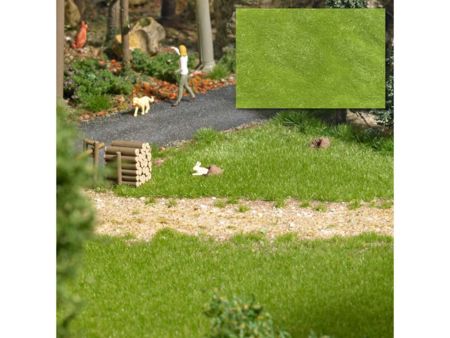 Busch Grasfasern Frühling