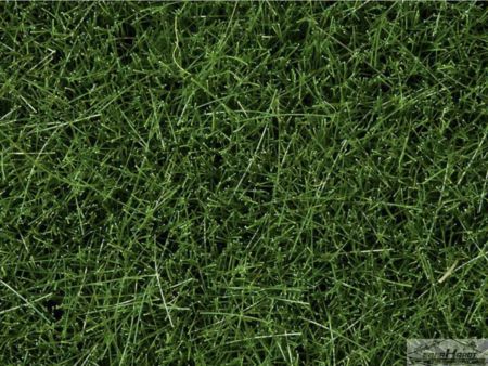 NOCH Wildgras, dunkelgrün, 6 mm