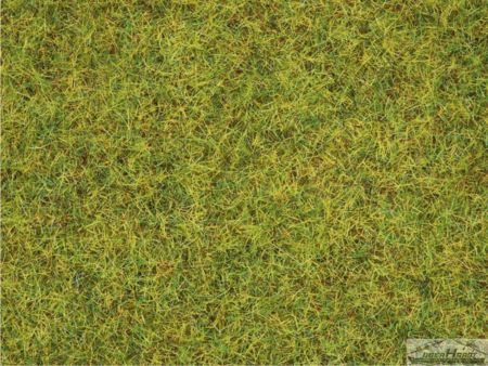 NOCH Streugras Sommerwiese, 2,5 mm