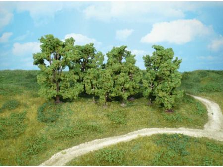 Heki  12 Laubbäume 6-13 cm