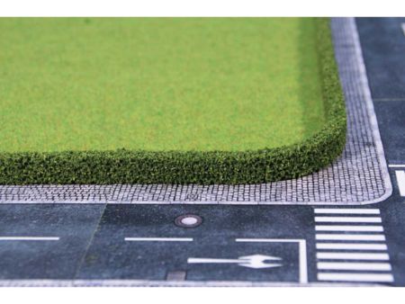 Heki  2 Thujahecken 25 x 7 mm hoch, je 50 cm lang