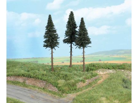 Heki  3 Hochstammtannen 17 cm