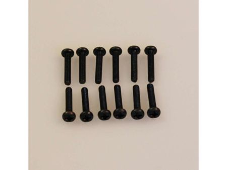 DF Mali Schrauben M3x10 (12)