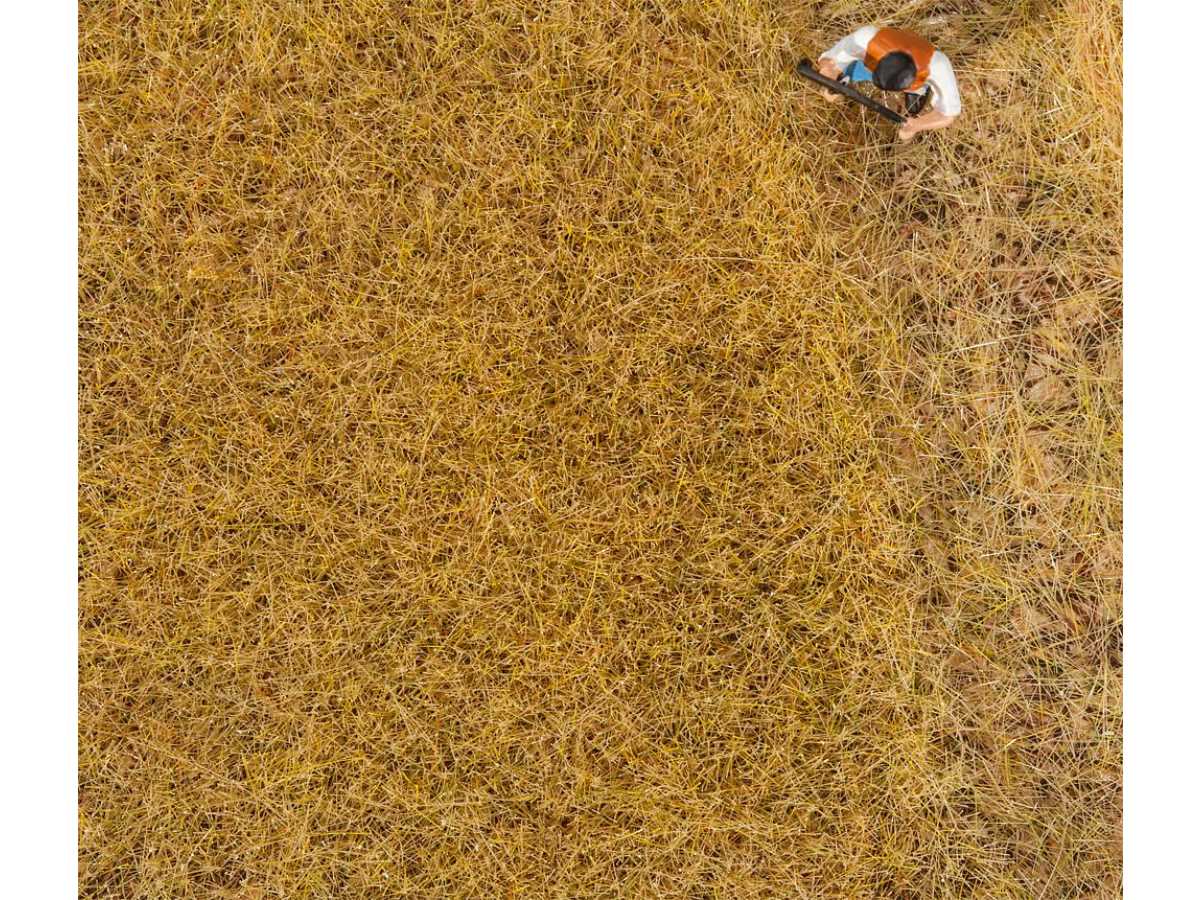 Faller Premium Streufasern – 30 G, Wiese Lang, 6 Mm Faserhöhe – Für Realistische Landschaftsgestaltung